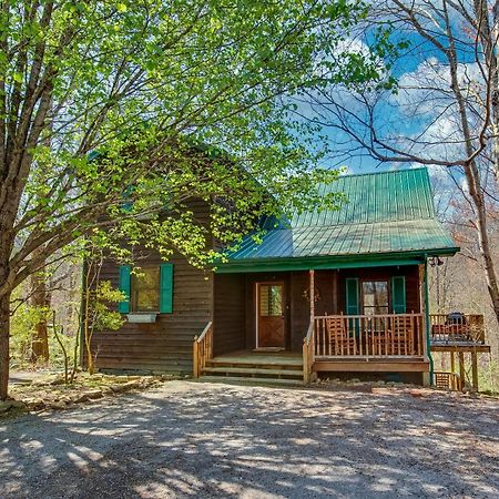 North Ridge Place Brand New Log Cabin With Hot Tub Great Location Севьервилл Экстерьер фото