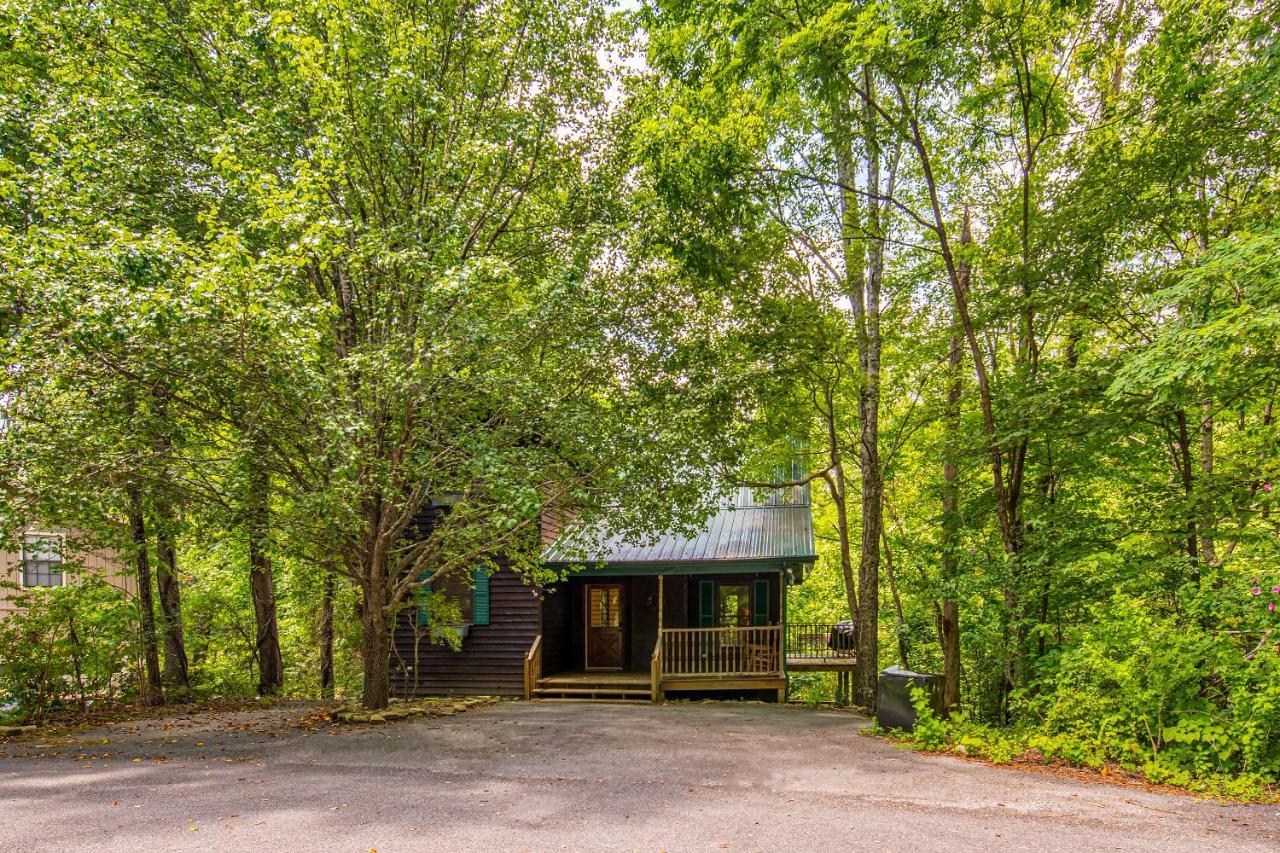 North Ridge Place Brand New Log Cabin With Hot Tub Great Location Севьервилл Экстерьер фото